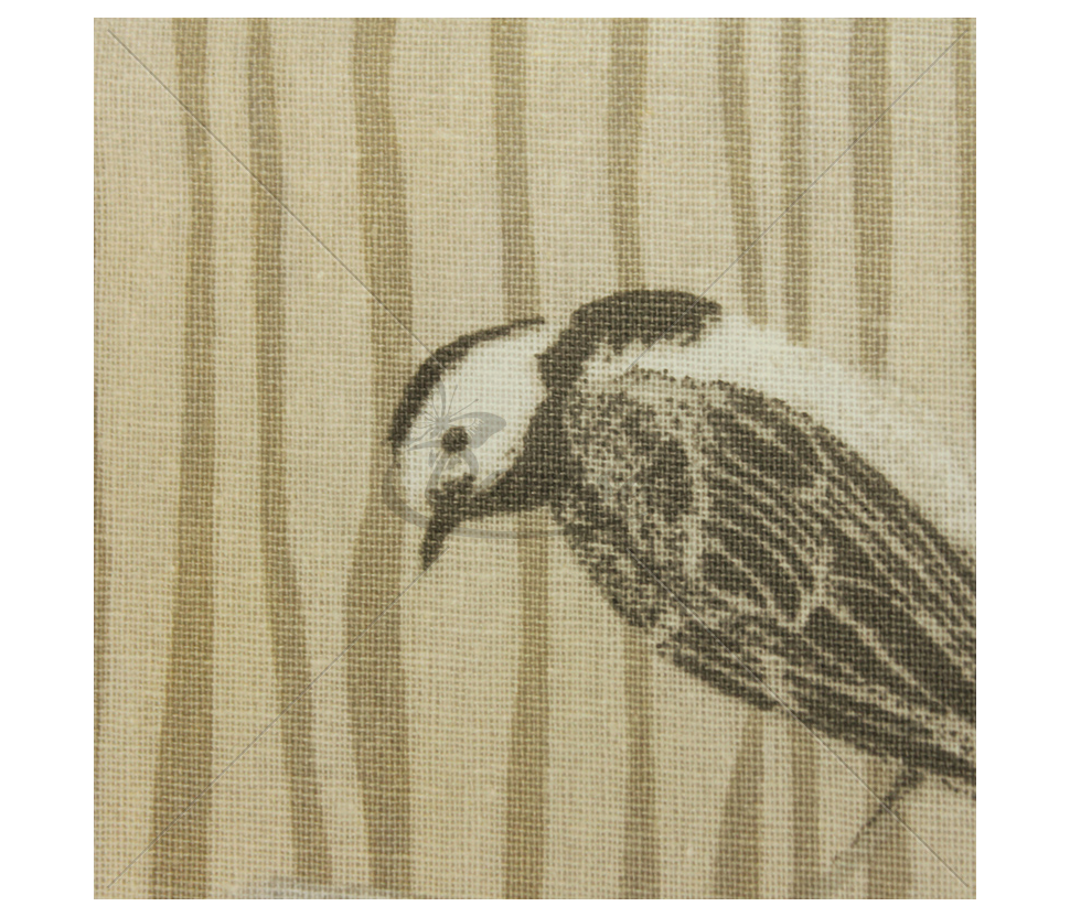 Cotton