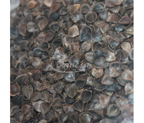 Buckwheat hulls