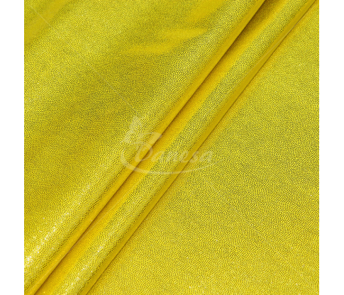 Shiny lycra, solid color