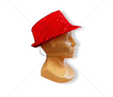 Sequin hat