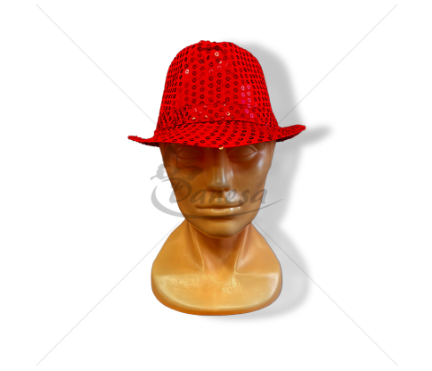 Sequin hat