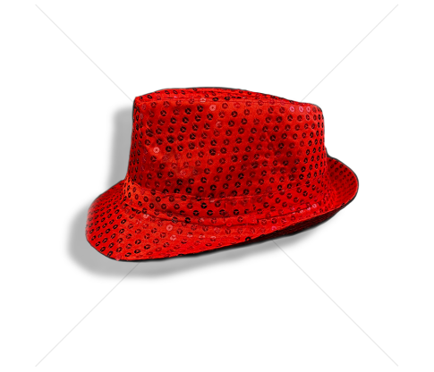 Sequin hat