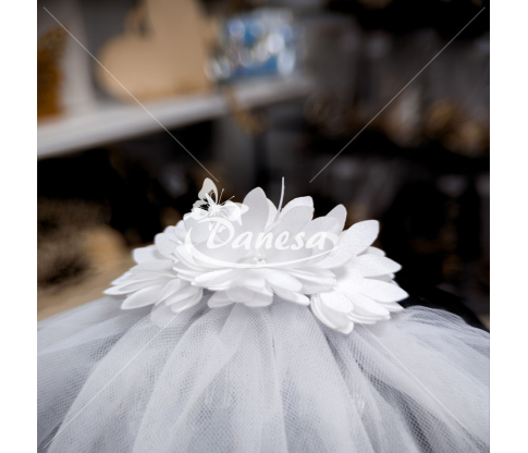 “Bride to Be” Veil for the Future Bride