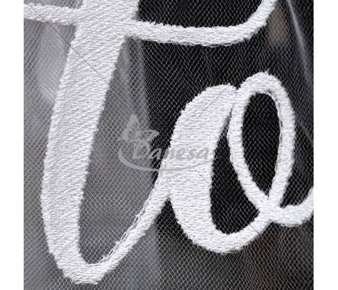 “Bride to Be” Veil for the Future Bride
