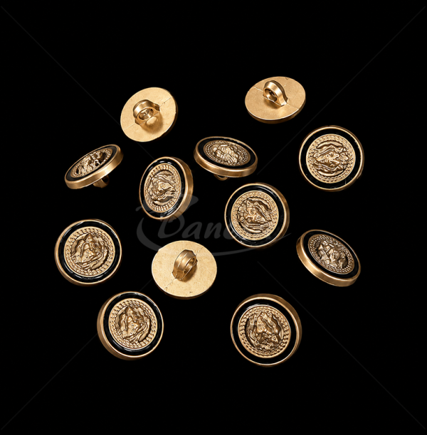 Bronze Lion Motif Shank Button