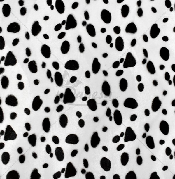 Faux fur, spots, black-white color