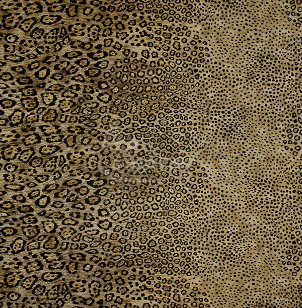 Natūralus šilkas, leopardo raštas