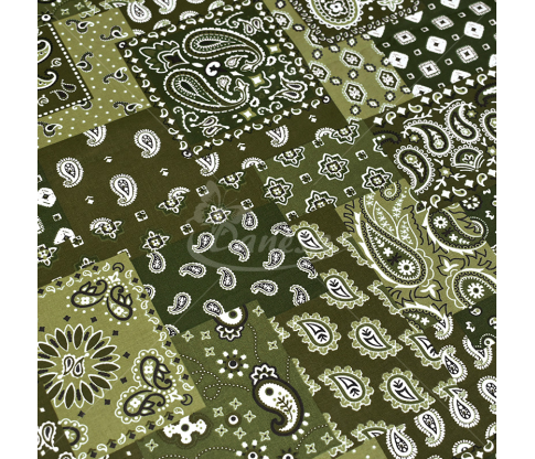 Cotton Fabric, paisley print, green color