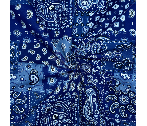 Cotton Fabric, paisley print, blue color