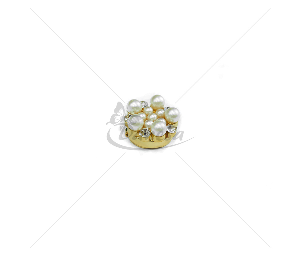 Brooch/Button cover