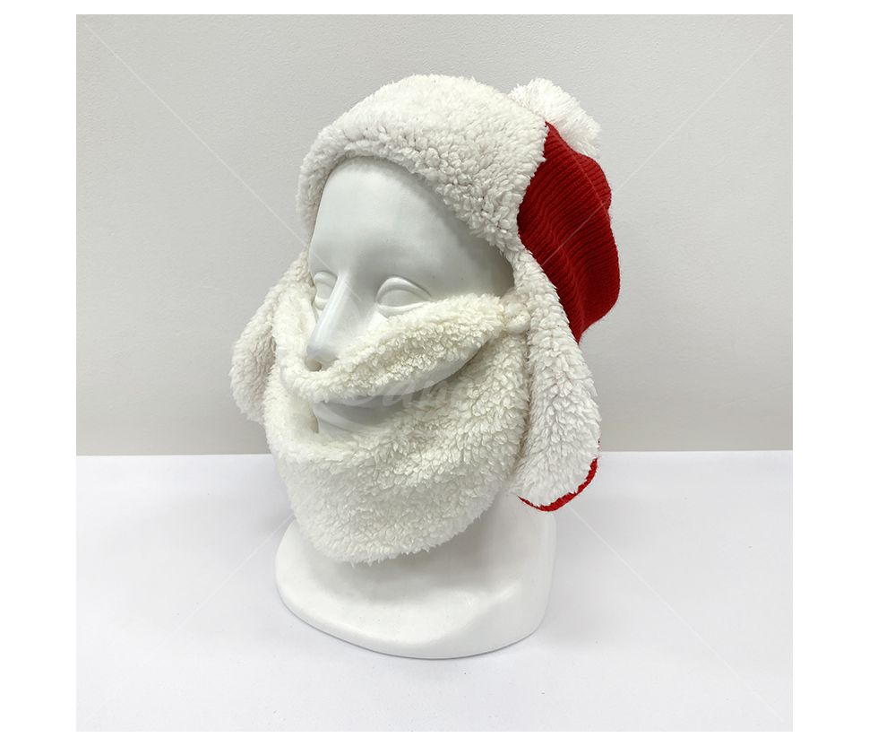 Christmas Hat with Beard