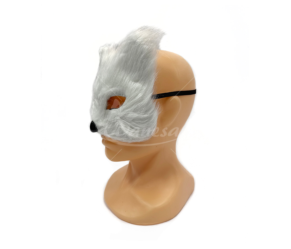 Carnival masks