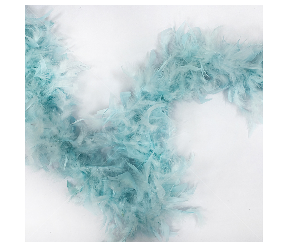 Feather Decorative Ribbon "BOA"