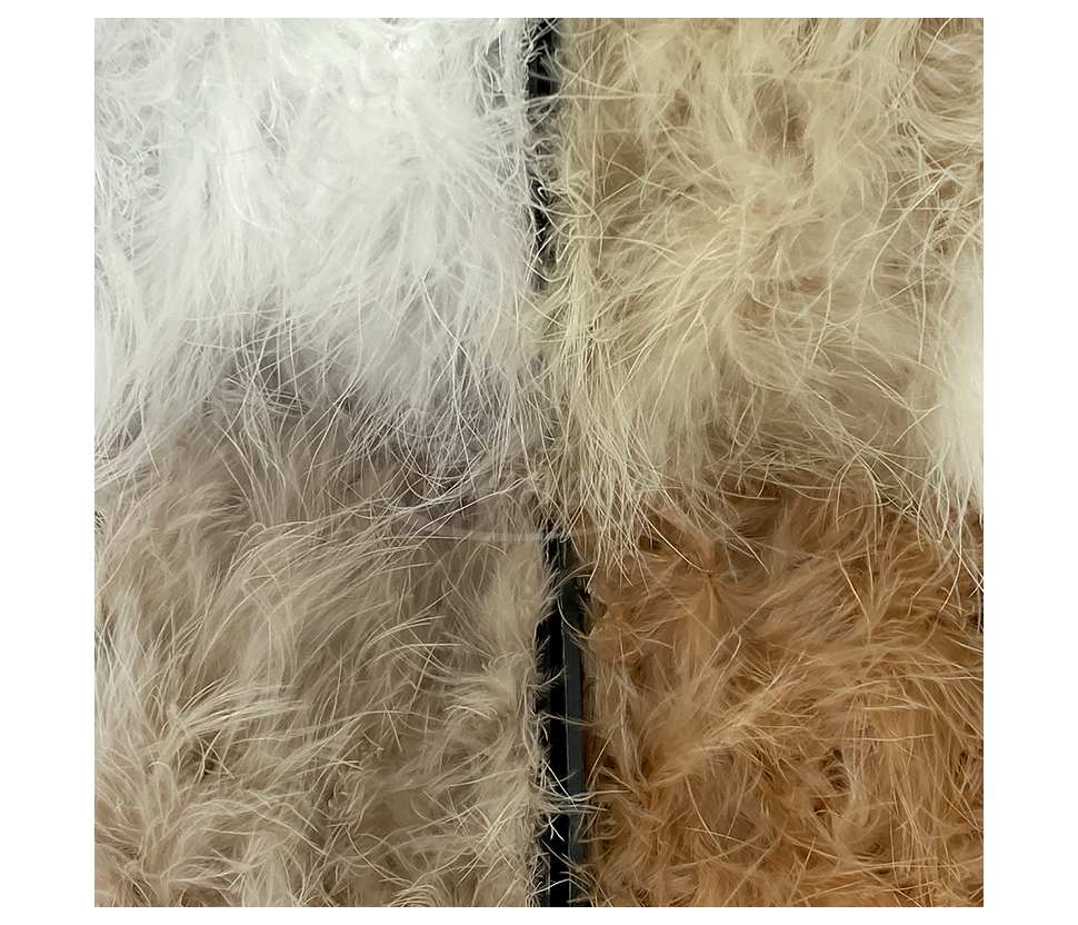 Feather Decorative Ribbon "BOA"