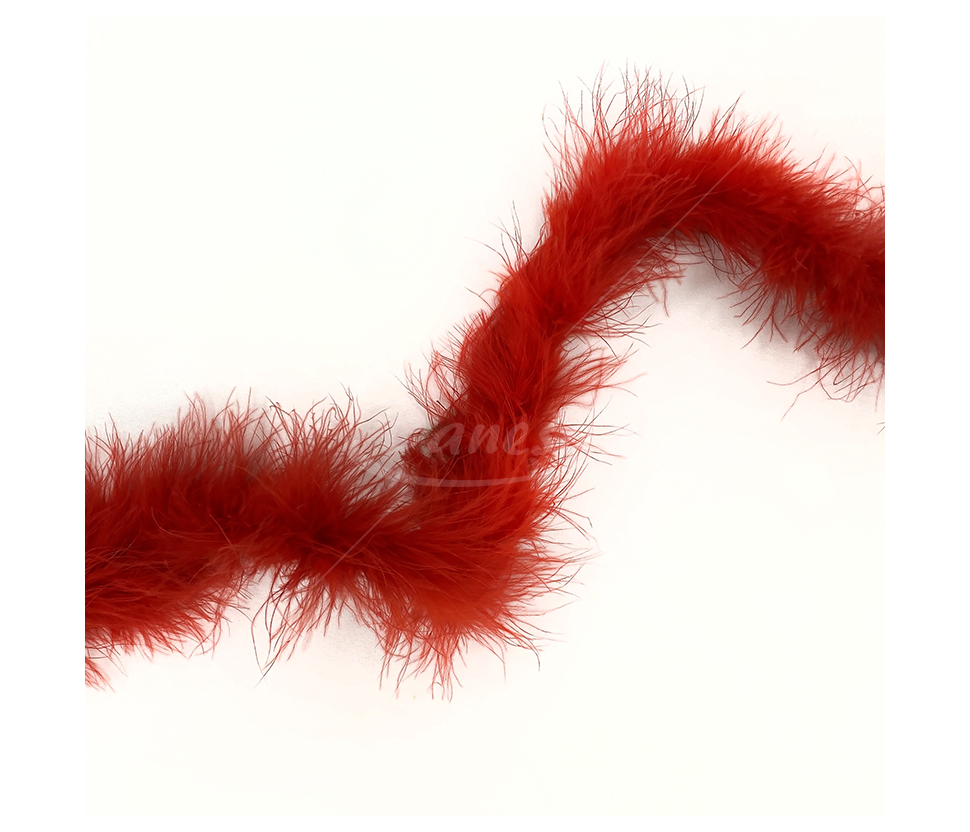 Feather Decorative Ribbon "BOA"