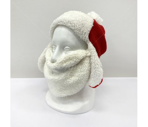 Christmas Hat with Beard