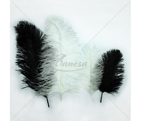 Plunksnos (60cm ir 20cm ilgio)