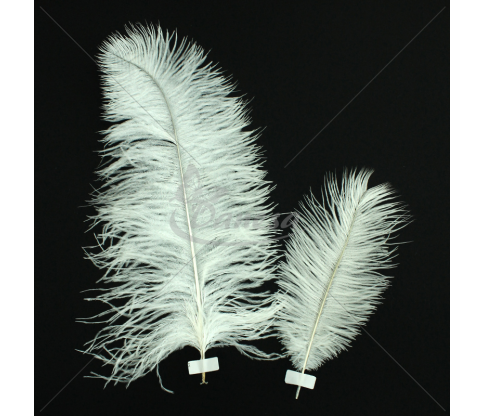 Plunksnos (60cm ir 20cm ilgio)