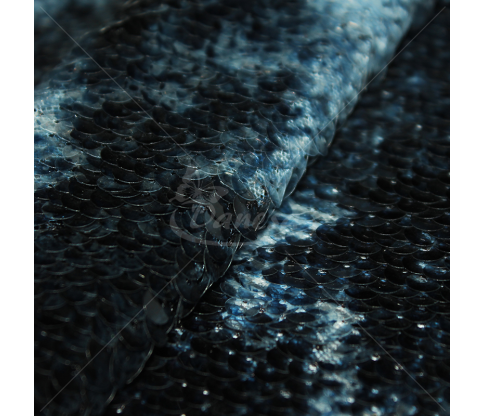Fabric embroidered with scales