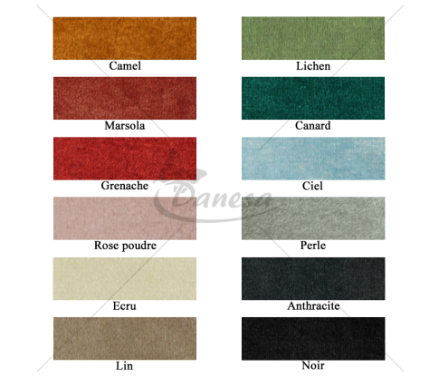 Frotte audinys