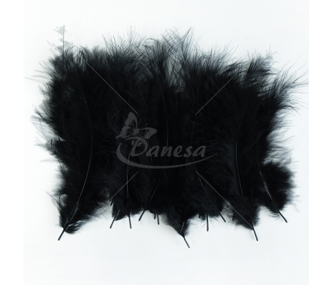 Ostrich feather set