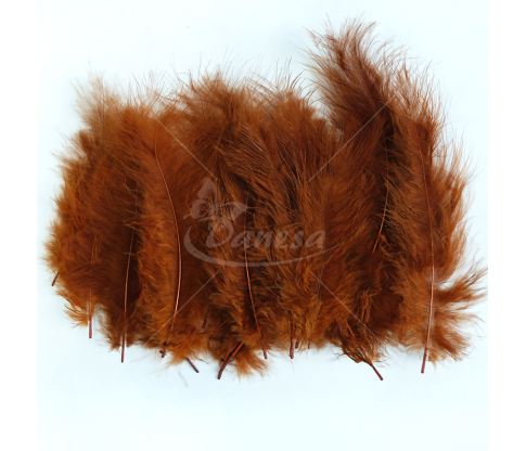 Ostrich feather set