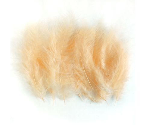Ostrich feather set