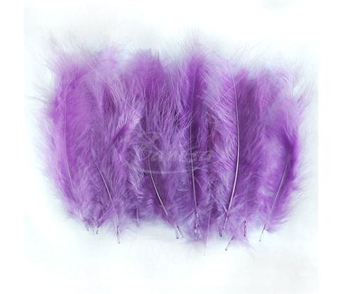 Ostrich feather set