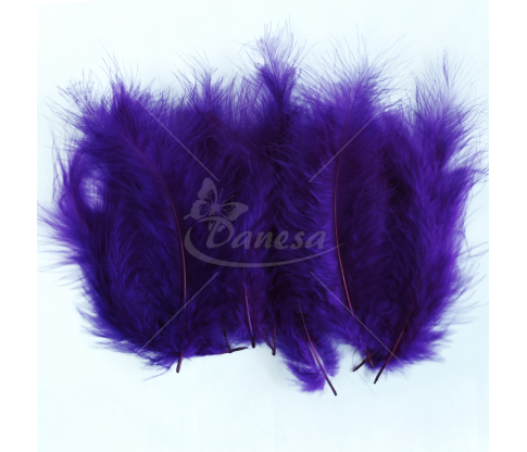 Ostrich feather set