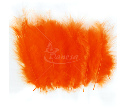 Ostrich feather set