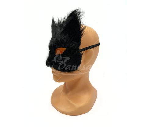 Carnival masks