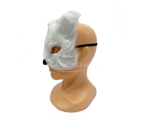 Carnival masks