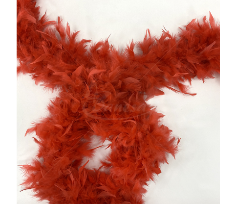 Feather Decorative Ribbon "BOA"