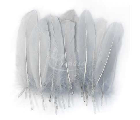 Goose feather set