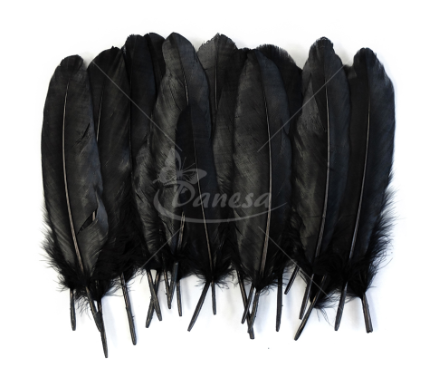 Goose feather set
