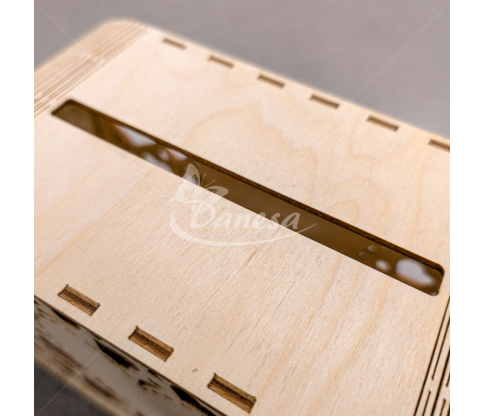 Wooden Box for Wedding Envelopes / Savings