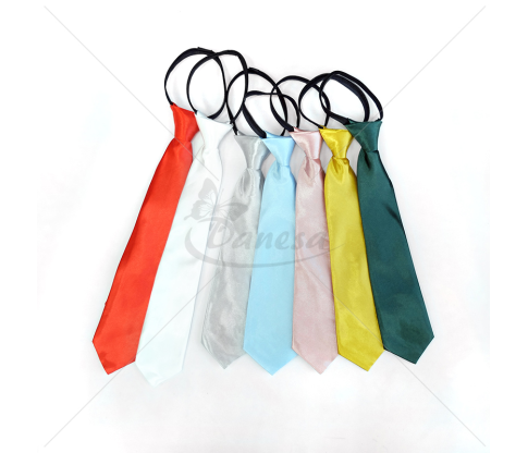 Satin Shiny Tie