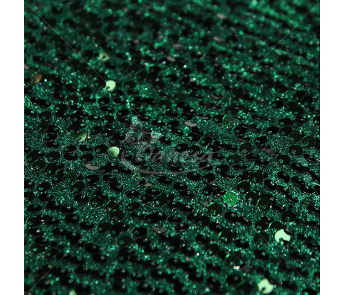 Velour / Velvet with sequins