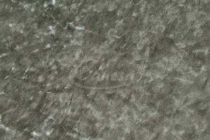 005_1792653311-3e3e13afcaa00d855208e27937451984.jpg