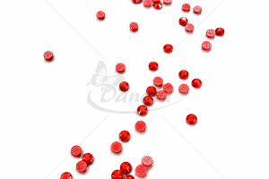 12_1788535600-aae01ae40a02020f80e97fb0b0bbaa8c.png