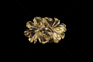 auksas_1777579352-2bd29a57dce4fa3fa4122c118727cd51.png