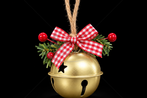auksinis-varp_1792061418-a653443adc5a3271715ecd6f1997650e.png