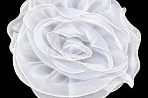 balta-organza_1792504076-10f4bf3a73a4681a99fd9a044eb3e9be.png