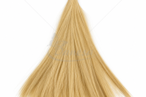 egeltonesnis_1792756761-d4bcf42ab6554206fd5b19c46dcacae3.png