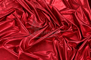 raudona-blizgi_1792129650-d29fa9b06fc705f97730256ebdb458de.png