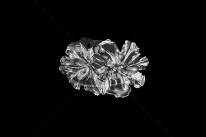 sidabras_1777579364-f503105afa8db65f579d50636db60fcf.png