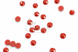 ss20-rz09_1788856027-25c086b105d704425f6923b0cd1a0919.png
